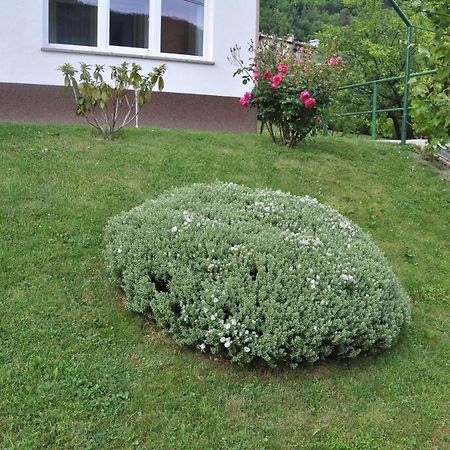 Rezidenca Ervin Hotel Jesenice Buitenkant foto